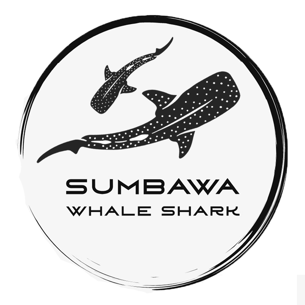 Whale Shark Excursion - Sumbawa Whale Shark