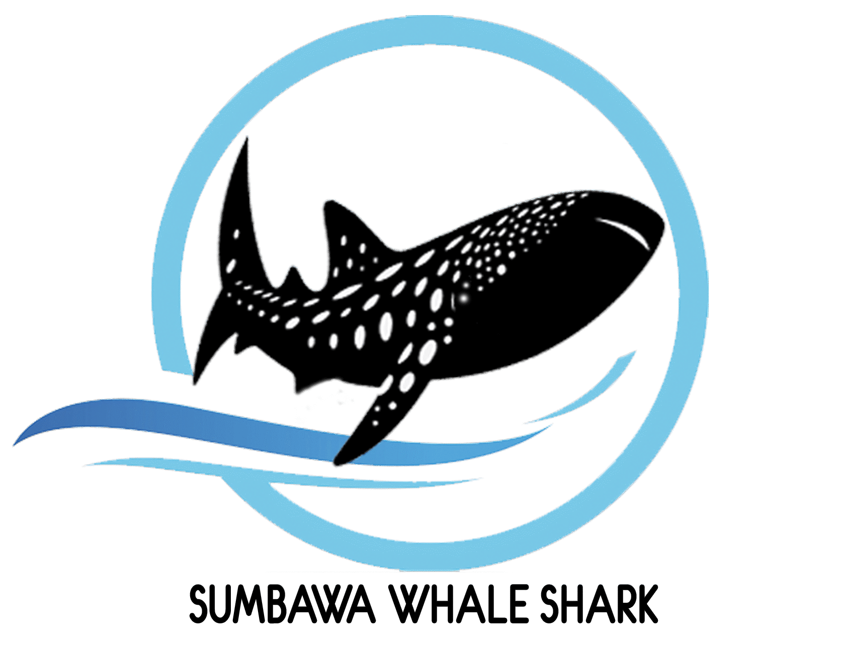 Sumbawa Whale Shark Logo